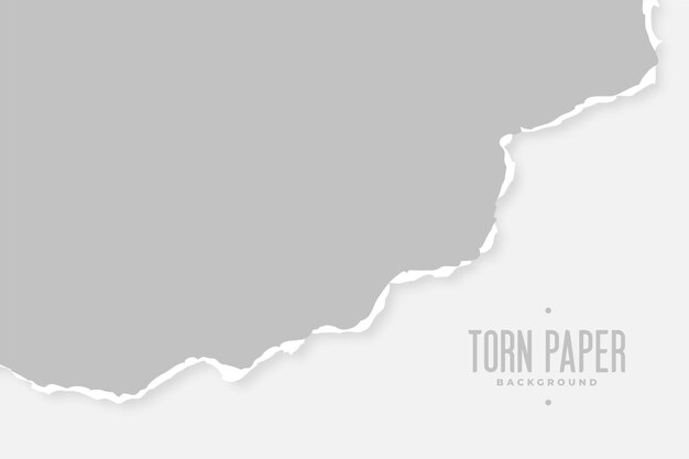 Fondo de textura de hoja de papel rasgado gris