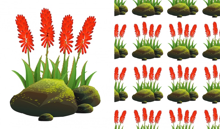 Vector gratuito fondo transparente con aloe vera y piedras de musgo