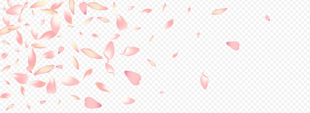 Fondo transparente panorámico del vector del corazón blanco. cartel de matrimonio de sakura. plantilla de lluvia de flores. enhorabuena de la primavera de rose. diseño de la madre de la flor rosa.