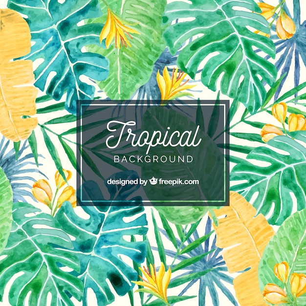 Fondo tropical adorable en acuarela