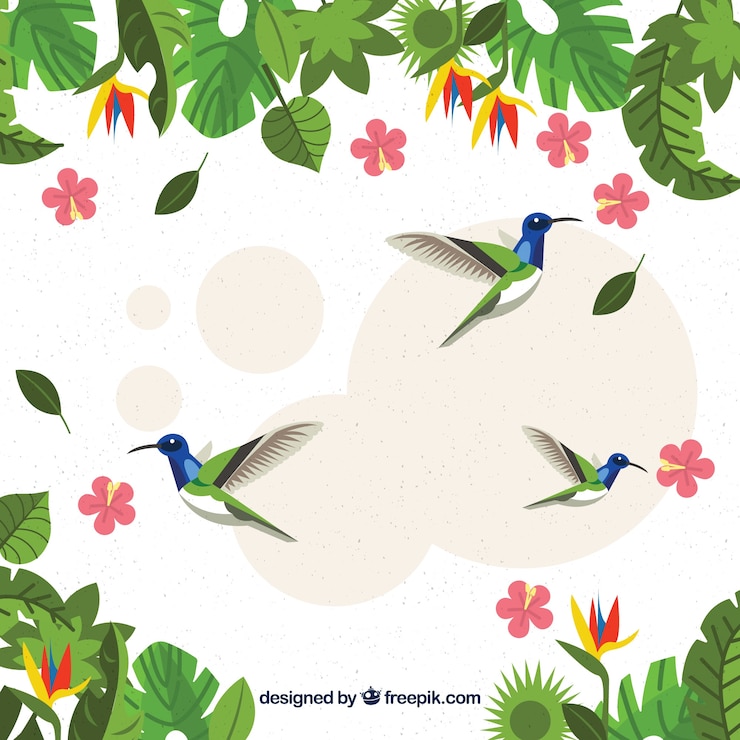 Vector gratuito fondo tropical con aves y plantas.