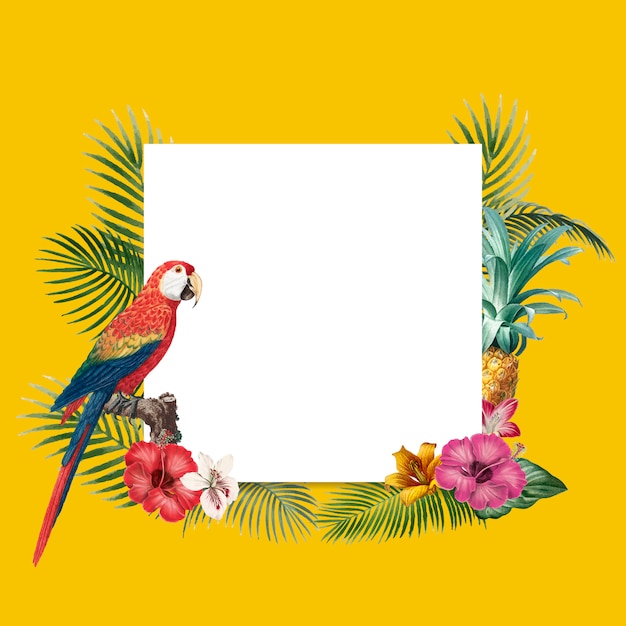 Vector gratuito fondo tropical en blanco