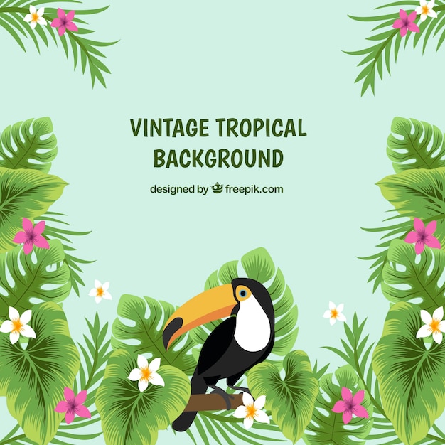 Vector gratuito fondo tropical clásico con estilo vintage