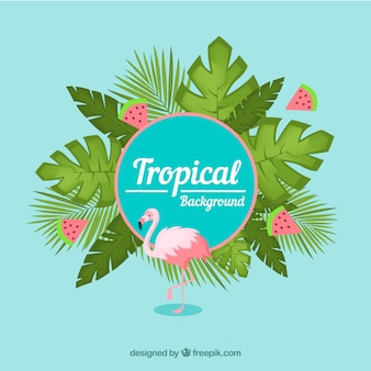 Fondo tropical colorido con diseño plano