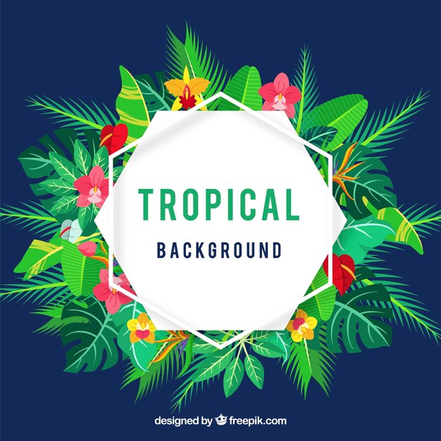 Fondo tropical colorido con diseño plano