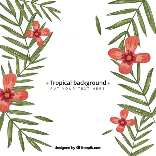 Vector gratuito fondo tropical dibujado a mano