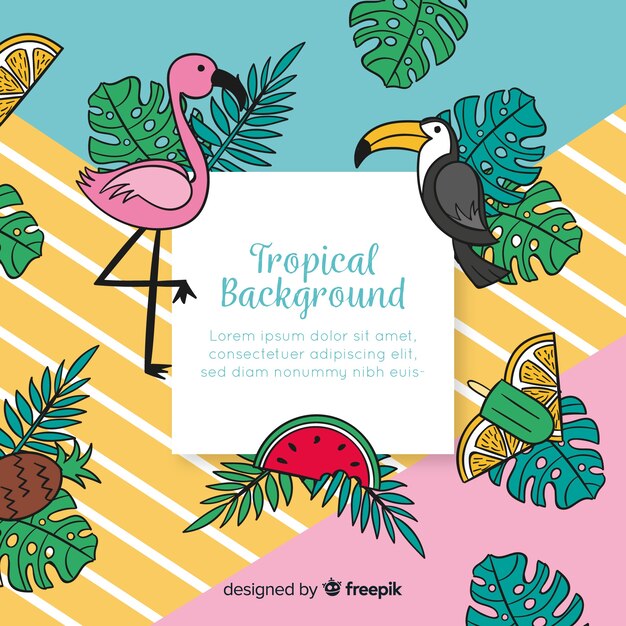 Fondo tropical dibujado a mano