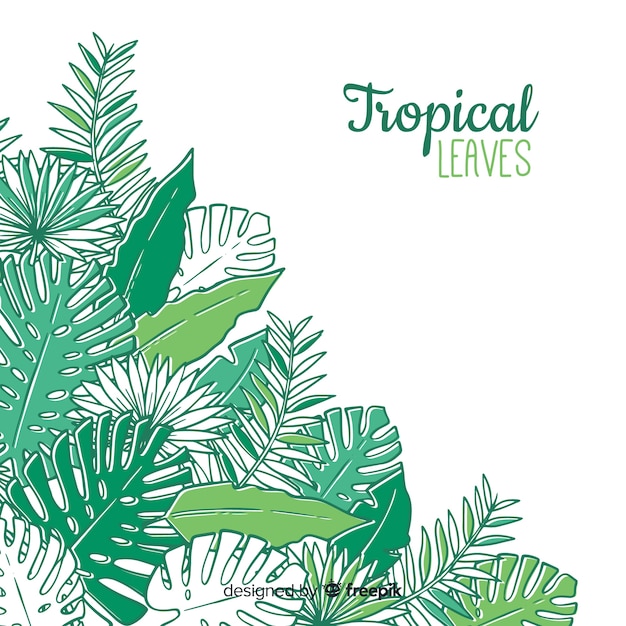 Vector gratuito fondo tropical dibujado a mano