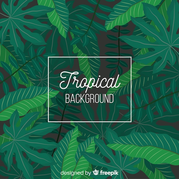 Vector gratuito fondo tropical en diseño plano