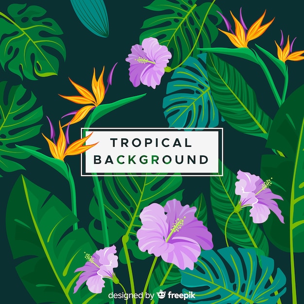 Vector gratuito fondo tropical en diseño plano