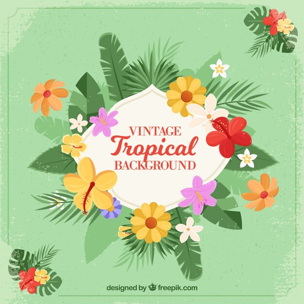 Vector gratuito fondo tropical en estilo vintage