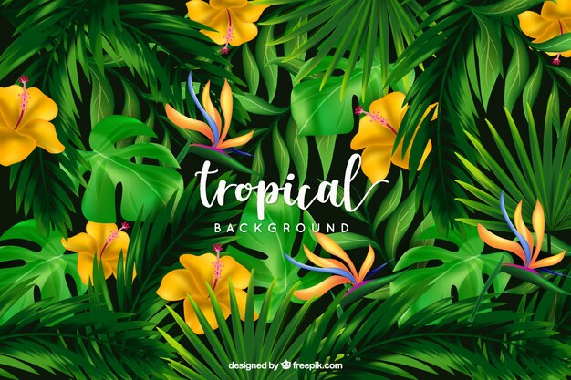 Fondo tropical con flores silvestres