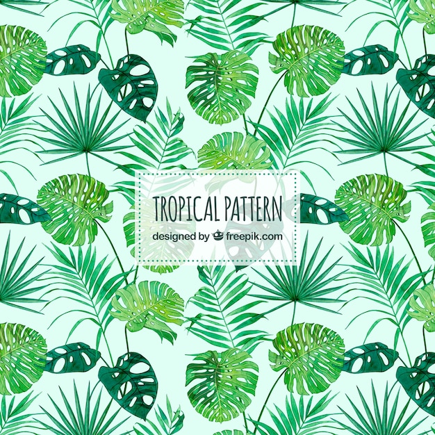 Fondo tropical con hojas de acuarela