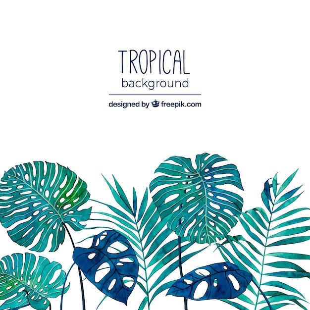 Vector gratuito fondo tropical con hojas en estilo acuarela