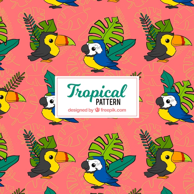 Vector gratuito fondo tropical con hojas y pájaros