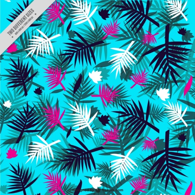 Vector gratuito fondo tropical de hojas de palmera