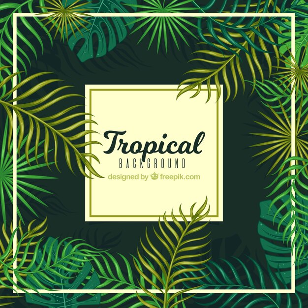 Fondo tropical de hojas de palmeras 