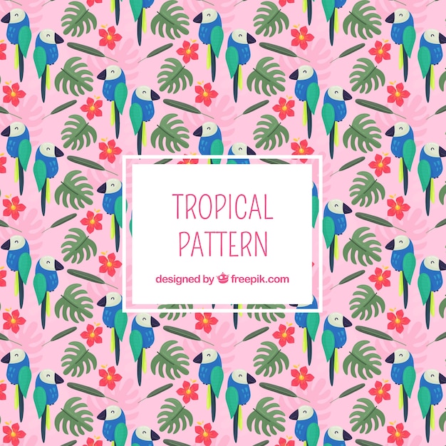 Vector gratuito fondo tropical con hojas y tucanes