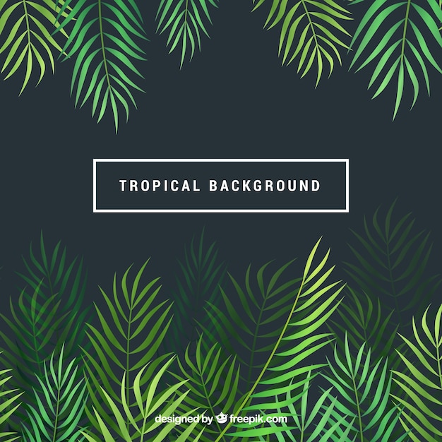 Fondo tropical con hojas