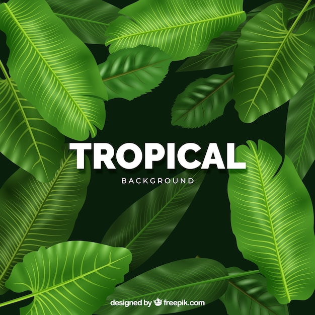 Fondo tropical moderno con diseño realista