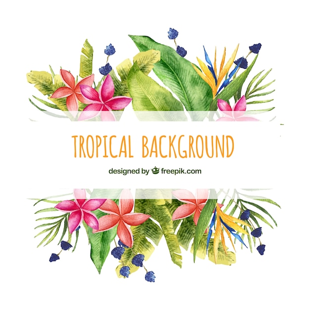 Vector gratuito fondo tropical con naturaleza de acuarela