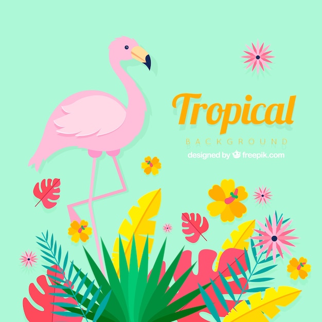 Fondo tropical con plantas y flamenco