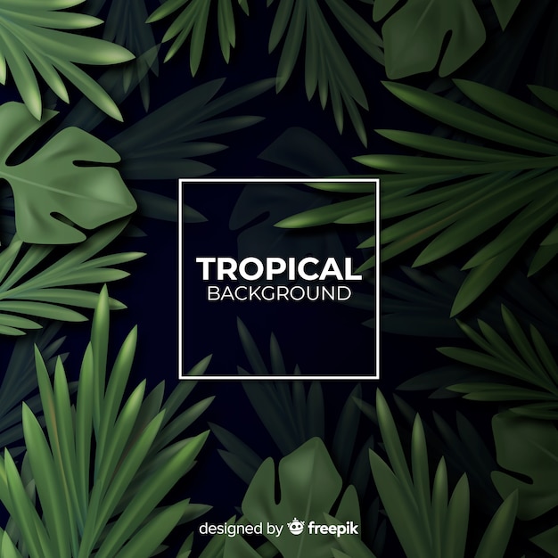 Fondo tropical realista