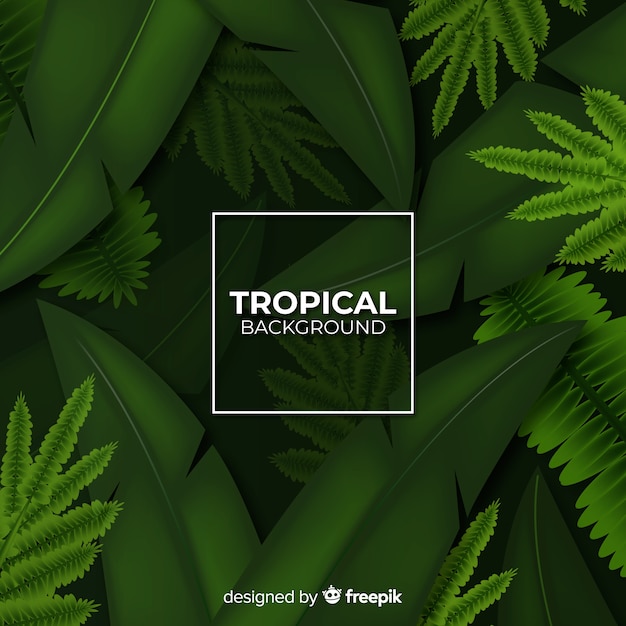 Vector gratuito fondo tropical realista