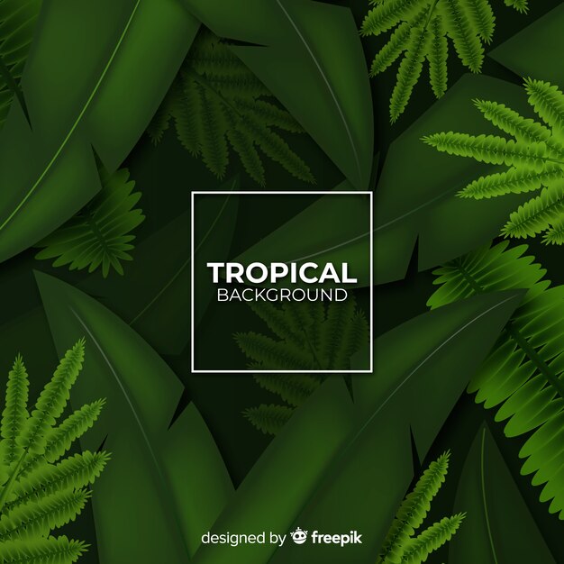 Fondo tropical realista