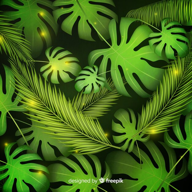 Fondo tropical realista