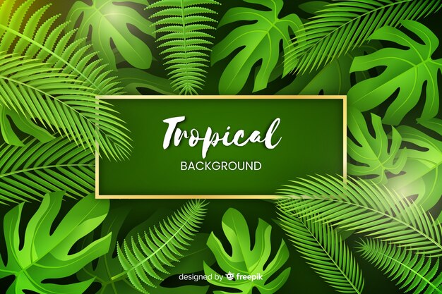 Fondo tropical realista