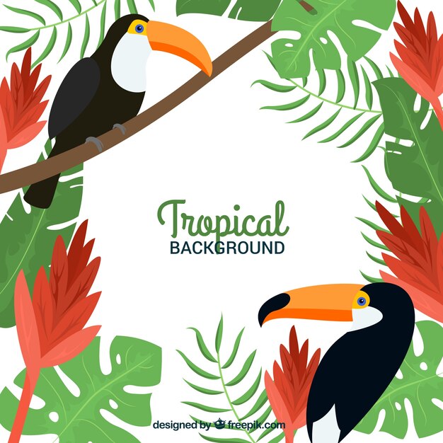 Fondo tropical con tucanes y plantas