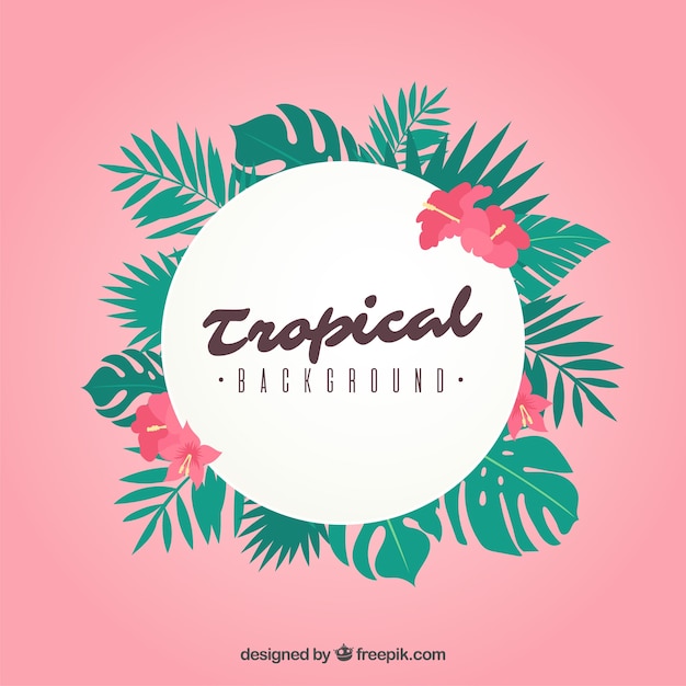 Vector gratuito fondo tropical de verano con hojas diferentes