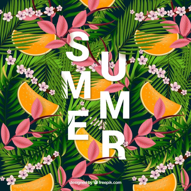 Fondo tropical de verano con hojas de palmera y melón