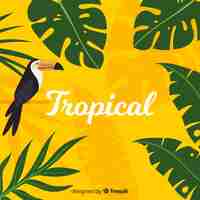 Vector gratuito fondo tropical