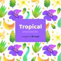 Vector gratuito fondo tropical