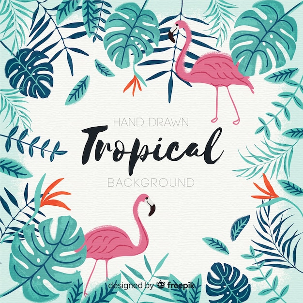 Fondo tropical
