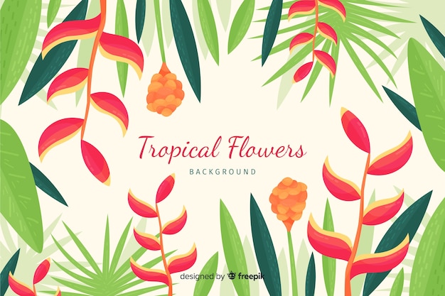 Fondo tropical