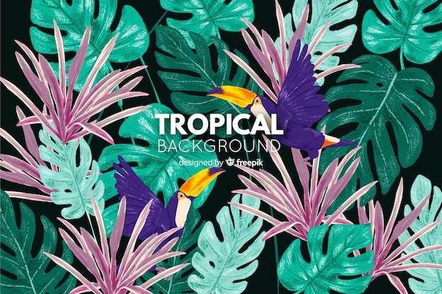 Fondo tropical