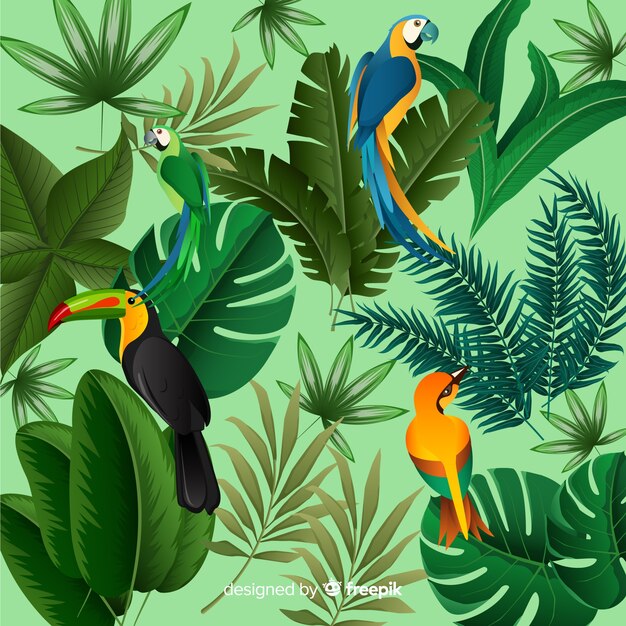 Fondo tropical