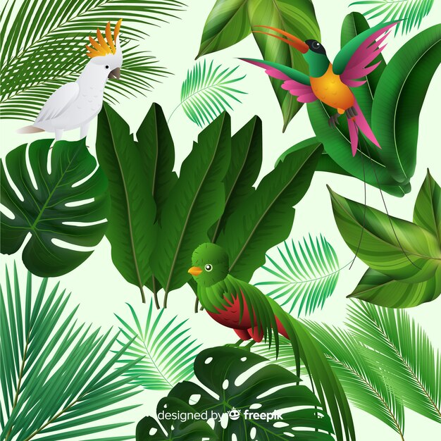 Fondo tropical