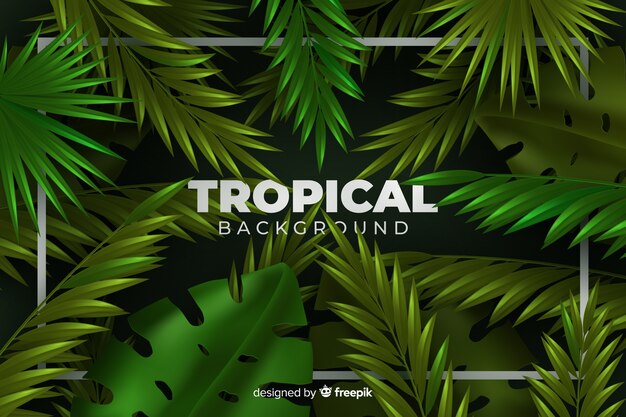 Fondo tropical