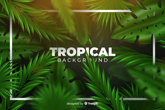 Fondo tropical