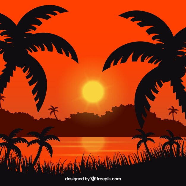 Fondo de verano con atardecer y palmeras 