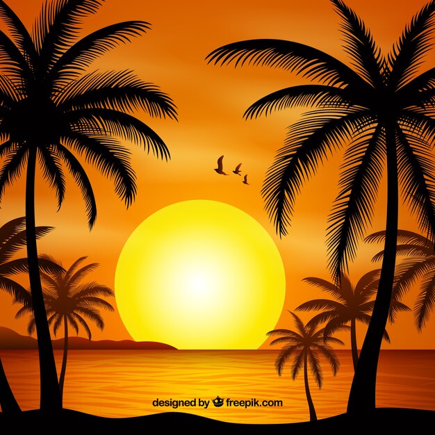 Fondo de verano con atardecer y silueta de palmeras