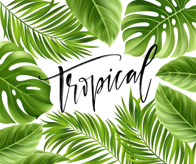 Vector gratuito fondo de verano con hojas de palmeras tropicales y letras escritas a mano.