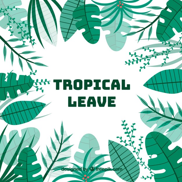 fondo de verano con hojas tropicales