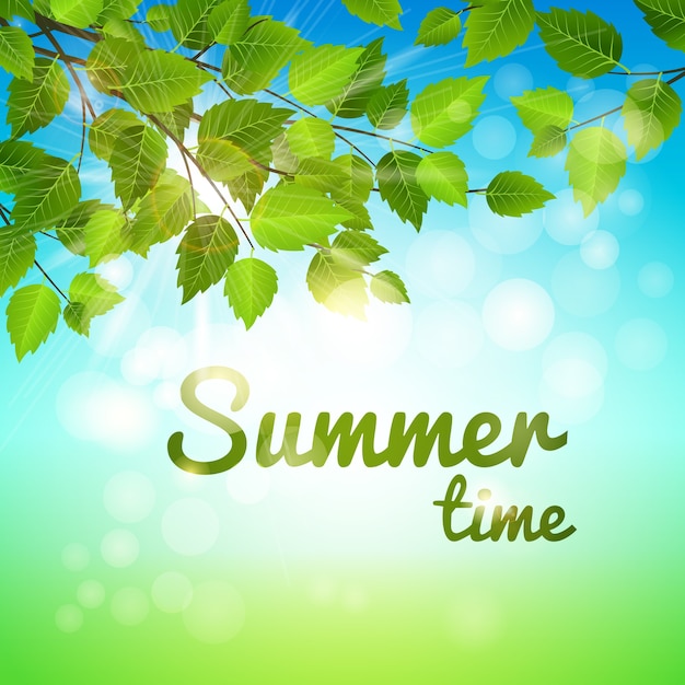 Fondo de verano con hojas verdes frescas en una rama sobresaliente y sol caliente