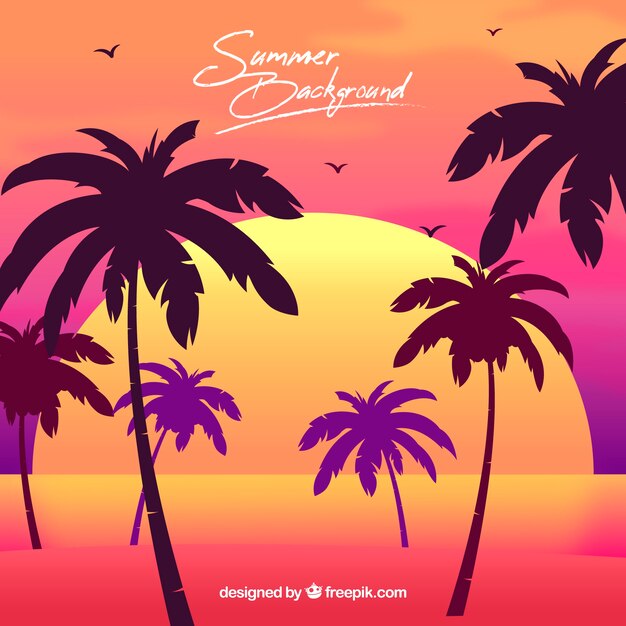 fondo de verano con palmeras y atardecer