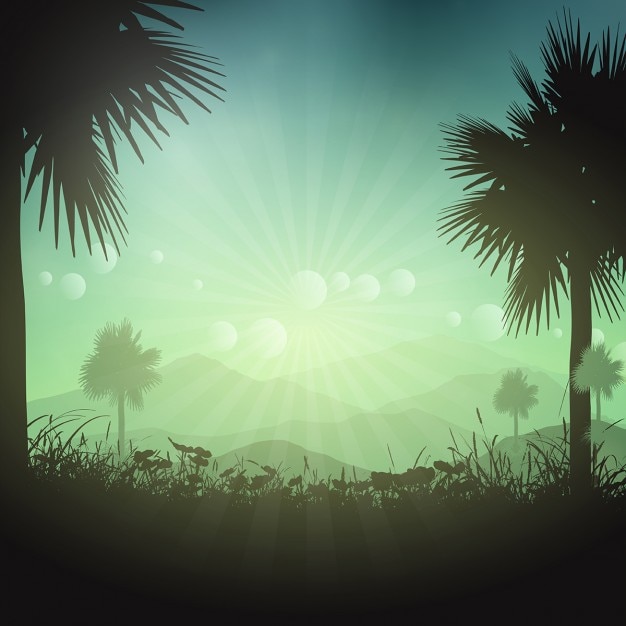Fondo del verano con palmeras